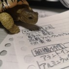 今村ゆずる